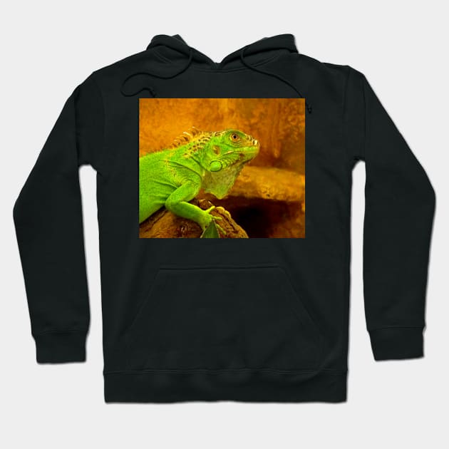 Green iguana Hoodie by Guardi